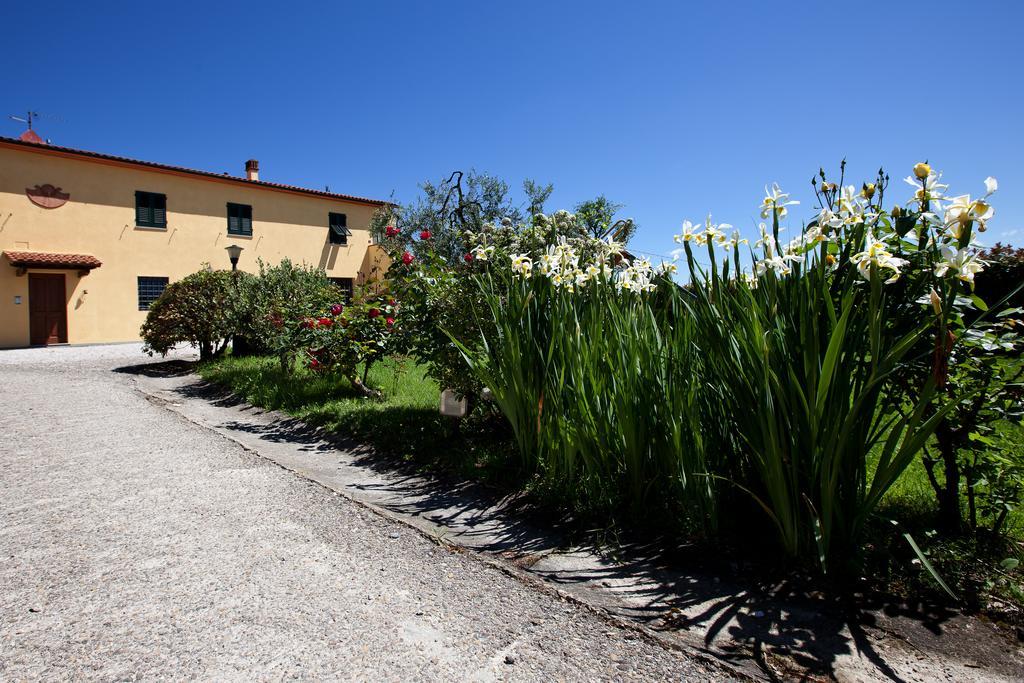 Agriturismo Luggiano Vinci Exterior foto